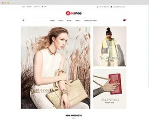 Ap Bag Shopify Theme