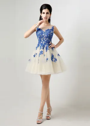 Homecoming Dress With Lace Appliques