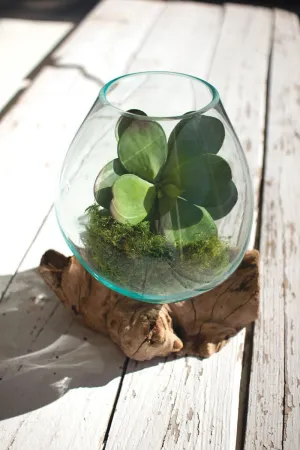 Large Blown Glass Bowl on Driftwood Base