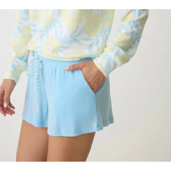 NEW PJ SALVAGE sunshine fields shorts in light sky