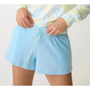 NEW PJ SALVAGE sunshine fields shorts in light sky