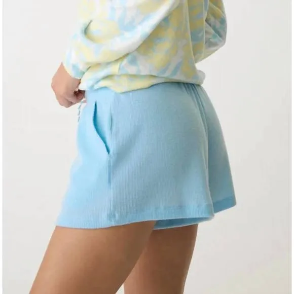 NEW PJ SALVAGE sunshine fields shorts in light sky