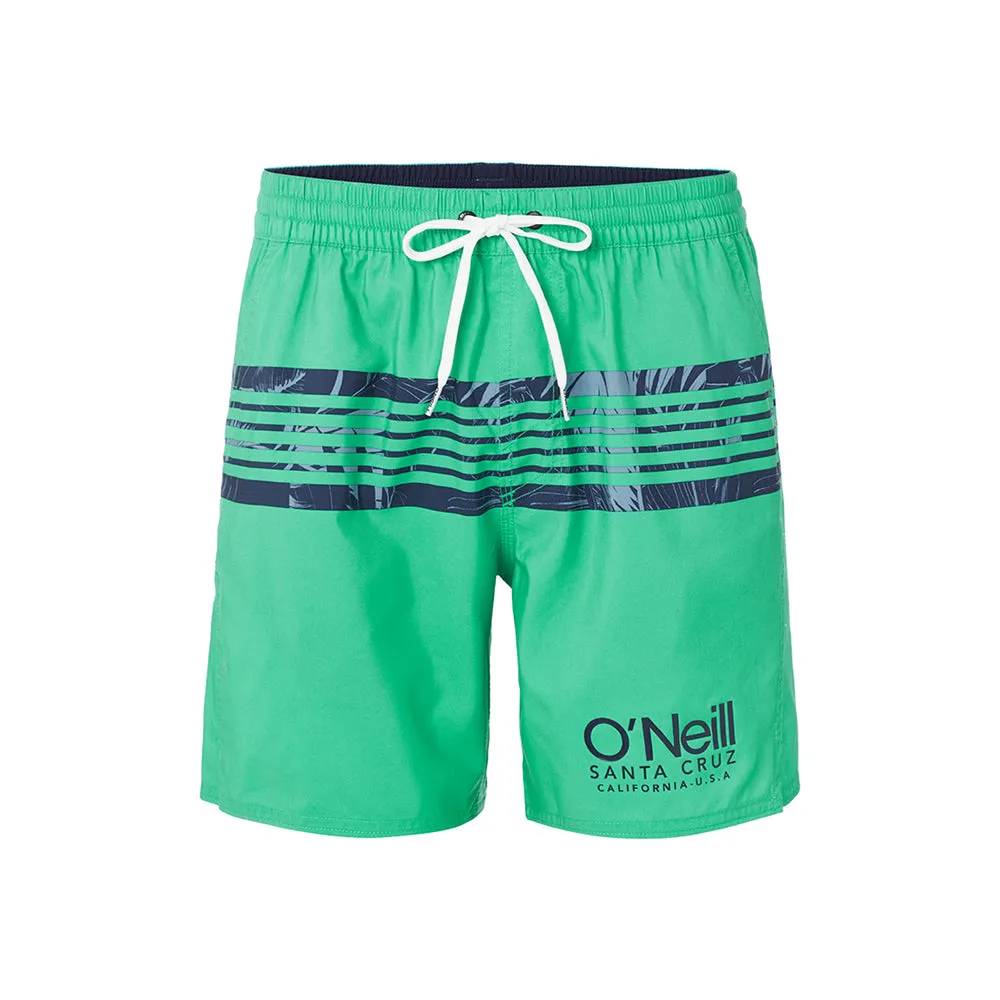 O'Neill Cali Stripe Boardshorts