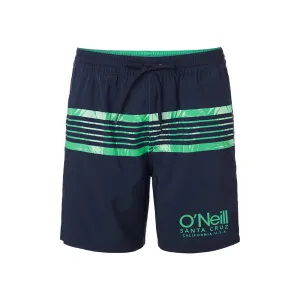 O'Neill Cali Stripe Boardshorts