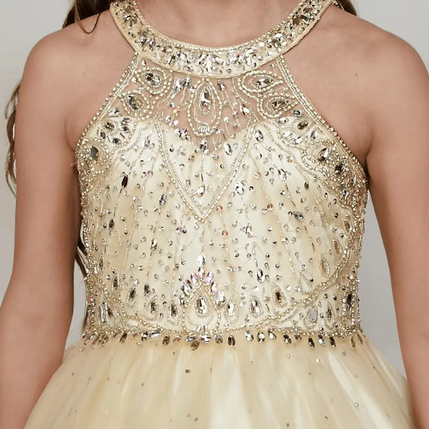 Princess Verity Gown - Blush