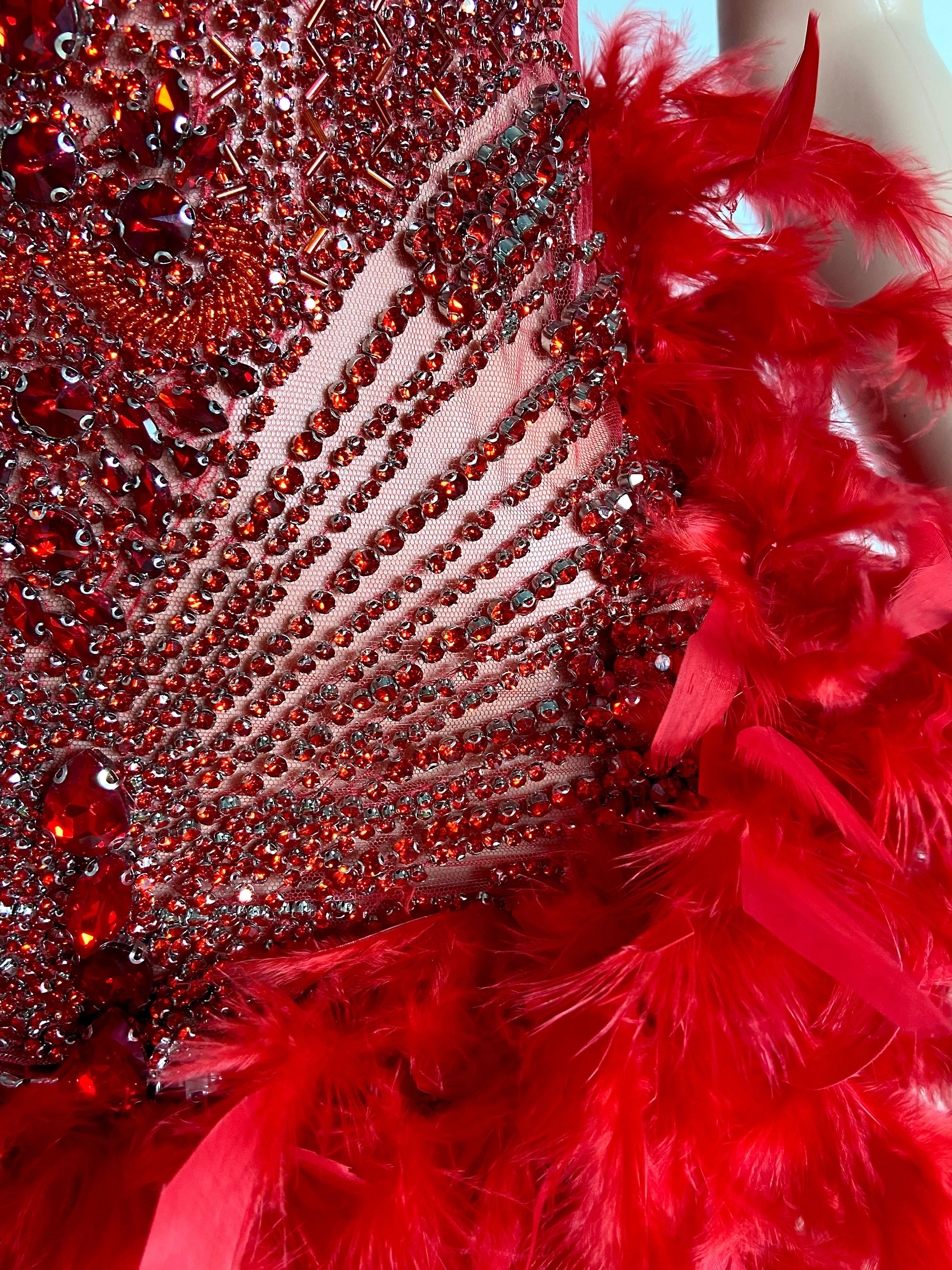 Red Alluring Feathered Charm Dress