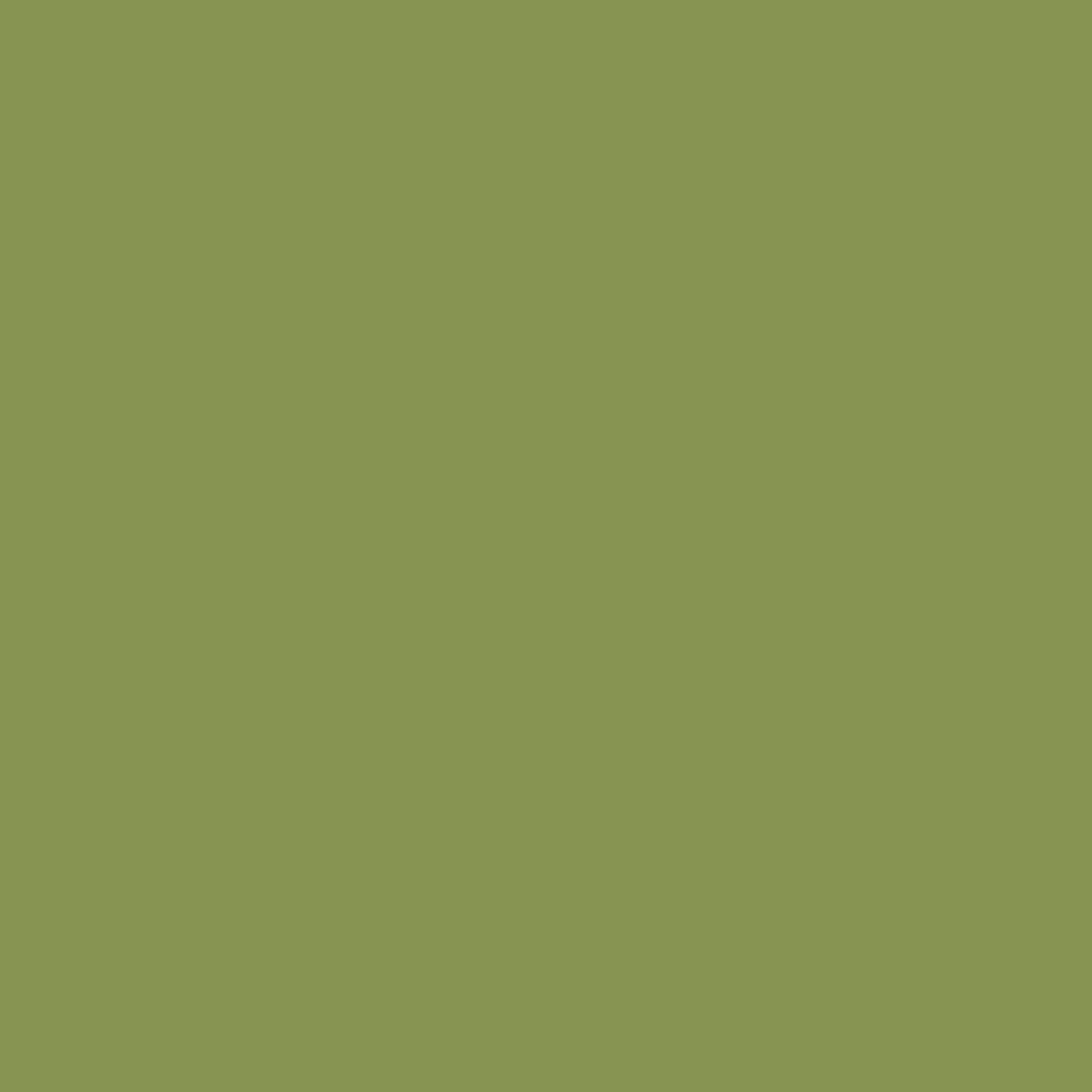 Rust-Oleum 257418 2X Spray Paint & Primer 340grams | SATIN EDEN