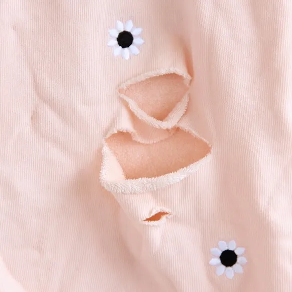 Wildfox Daisy Embroidered Distressed Shorts